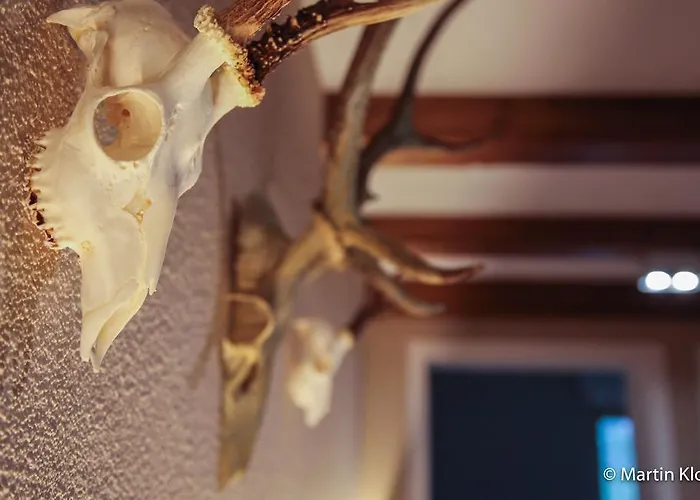 Arno 公寓式酒店 3*