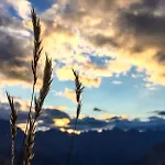 Апарт-отель Arno 3*