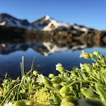 Apart Hotel Arno Solden